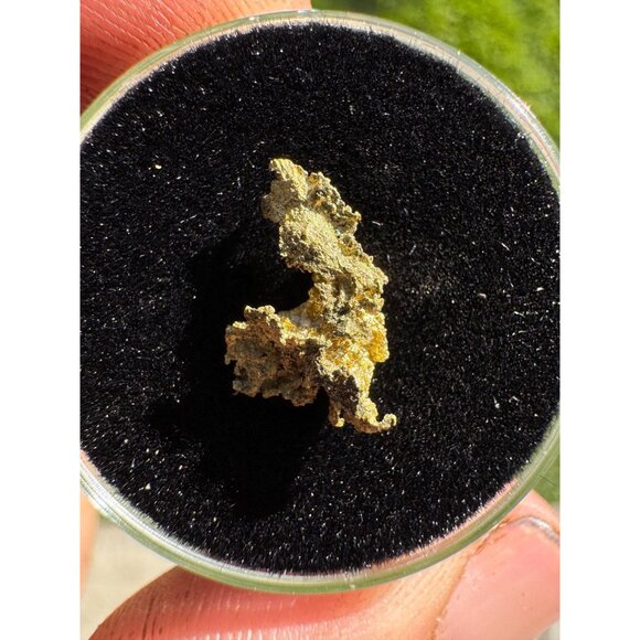 California Native Gold Crystal - 0.56 grams - Picture 3 of 7